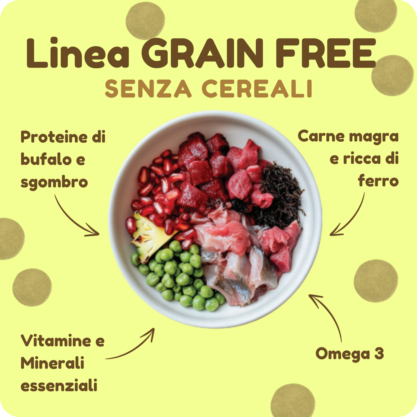 Crocchette GRAIN FREE con Bufalo, Sgombro, Ananas e Melograno per cani di tutte le taglie