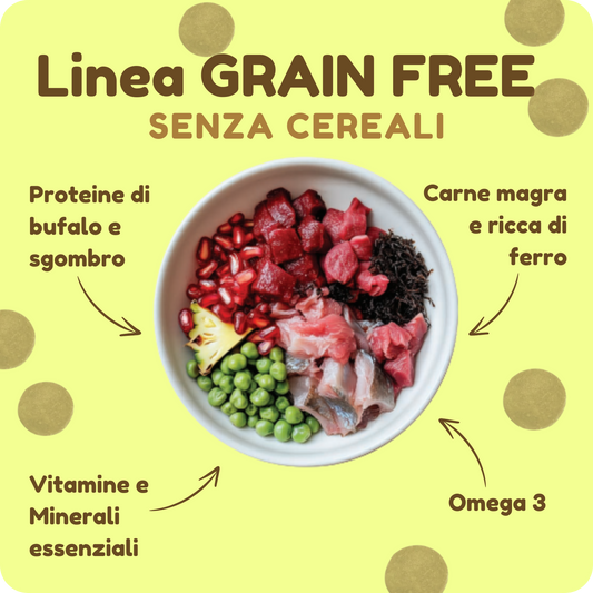 Crocchette GRAIN FREE con Bufalo, Sgombro, Ananas e Melograno per cani di tutte le taglie