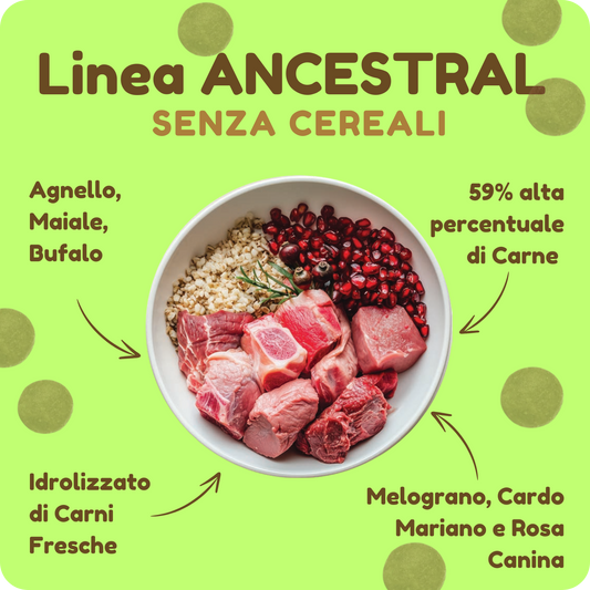 Crocchette ANCESTRAL IPOALLERGENICHE con Agnello, Maiale, Bufalo e Melograno per cani di tutte le taglie