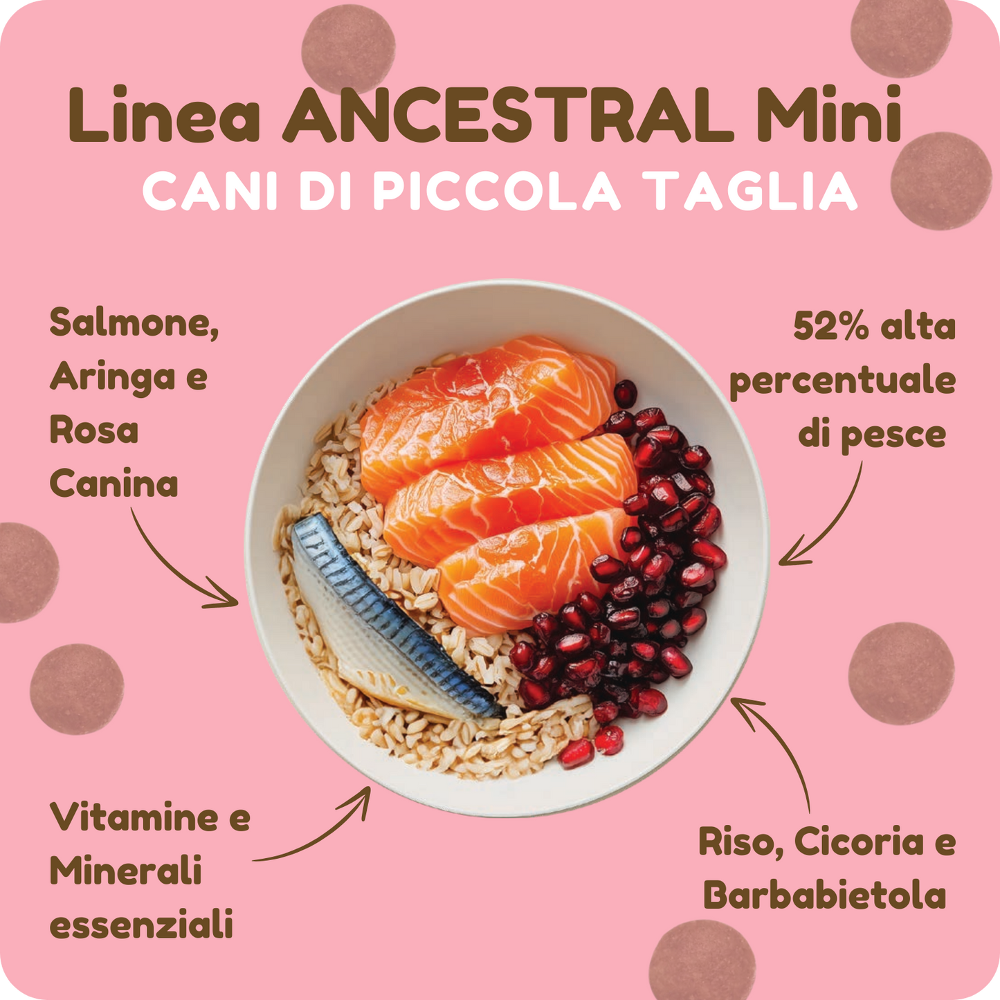 Crocchette ANCESTRAL IPOALLERGENICHE con Salmone, Aringa e Rosa canina per cani di piccola taglia