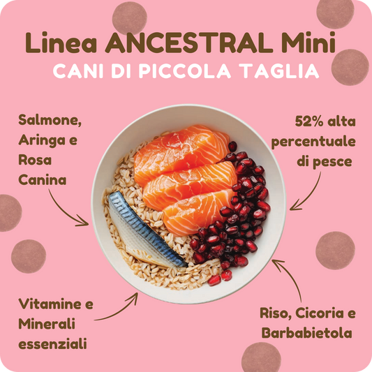 Crocchette ANCESTRAL IPOALLERGENICHE con Salmone, Aringa e Rosa canina per cani di piccola taglia