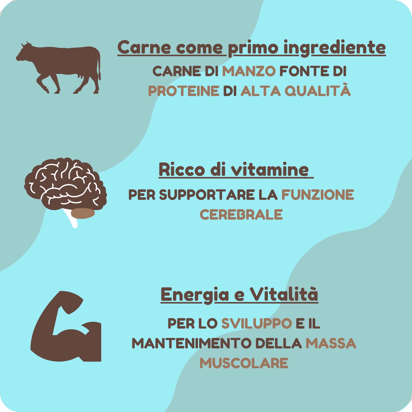 Crocchette PREMIUM con Manzo e Barbabietola per cani di tutte le taglie