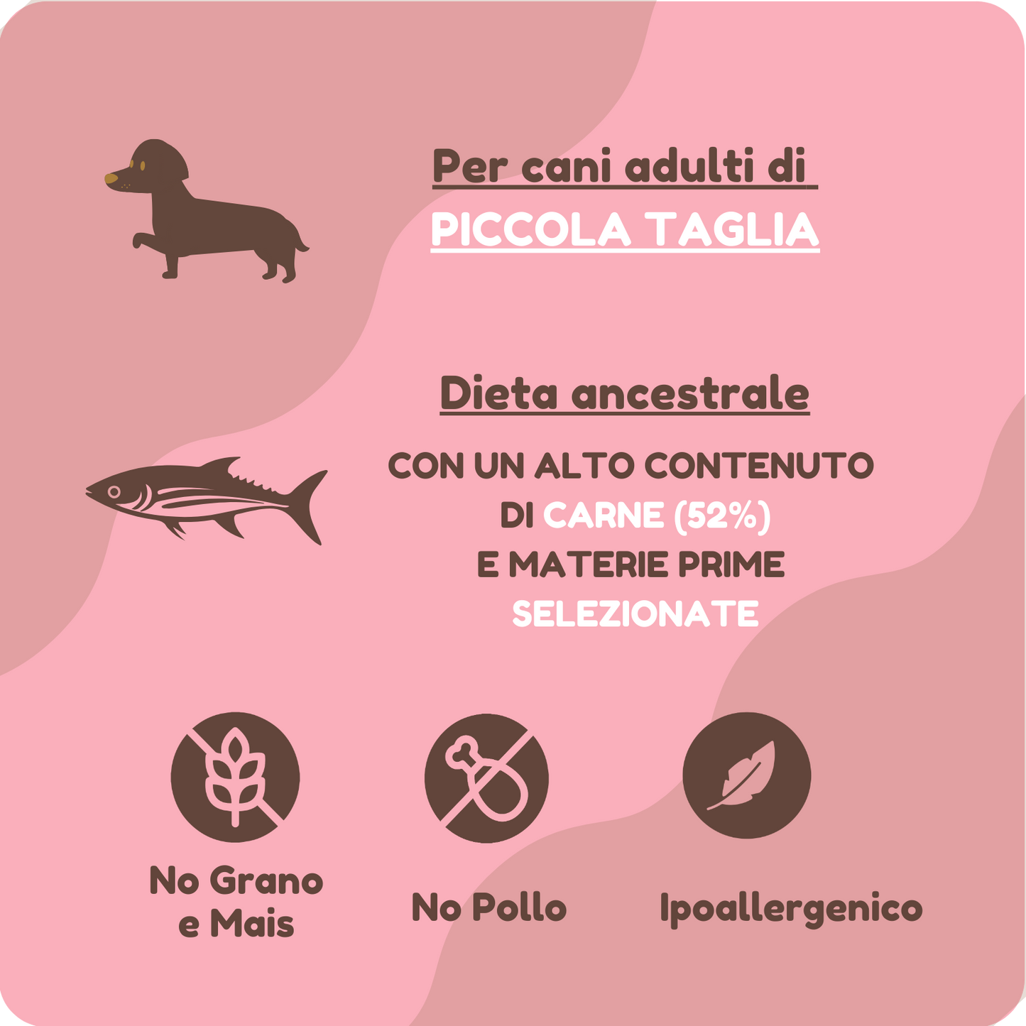 Crocchette ANCESTRAL IPOALLERGENICHE con Salmone, Aringa e Rosa canina per cani di piccola taglia