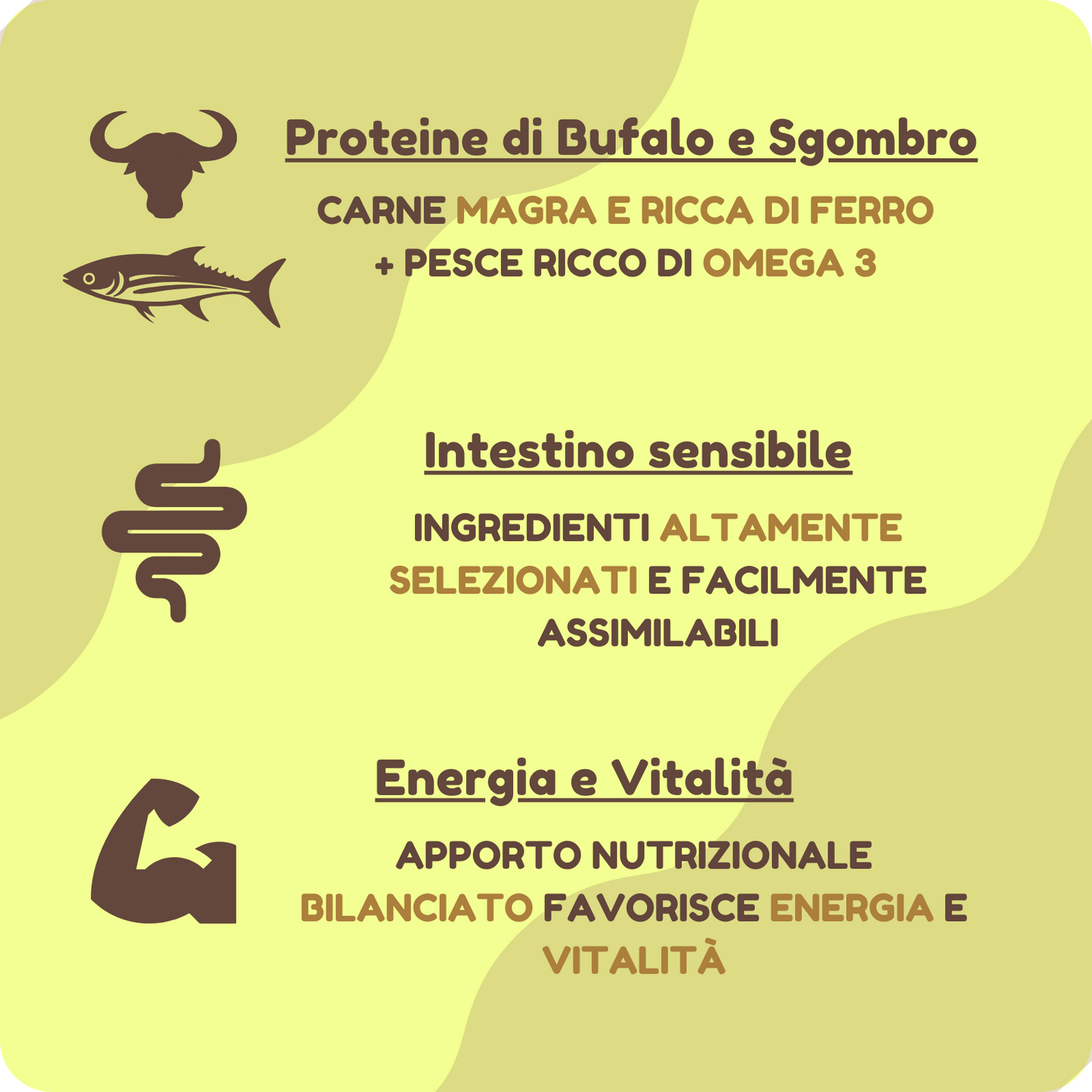 Crocchette GRAIN FREE con Bufalo, Sgombro, Ananas e Melograno per cani di tutte le taglie