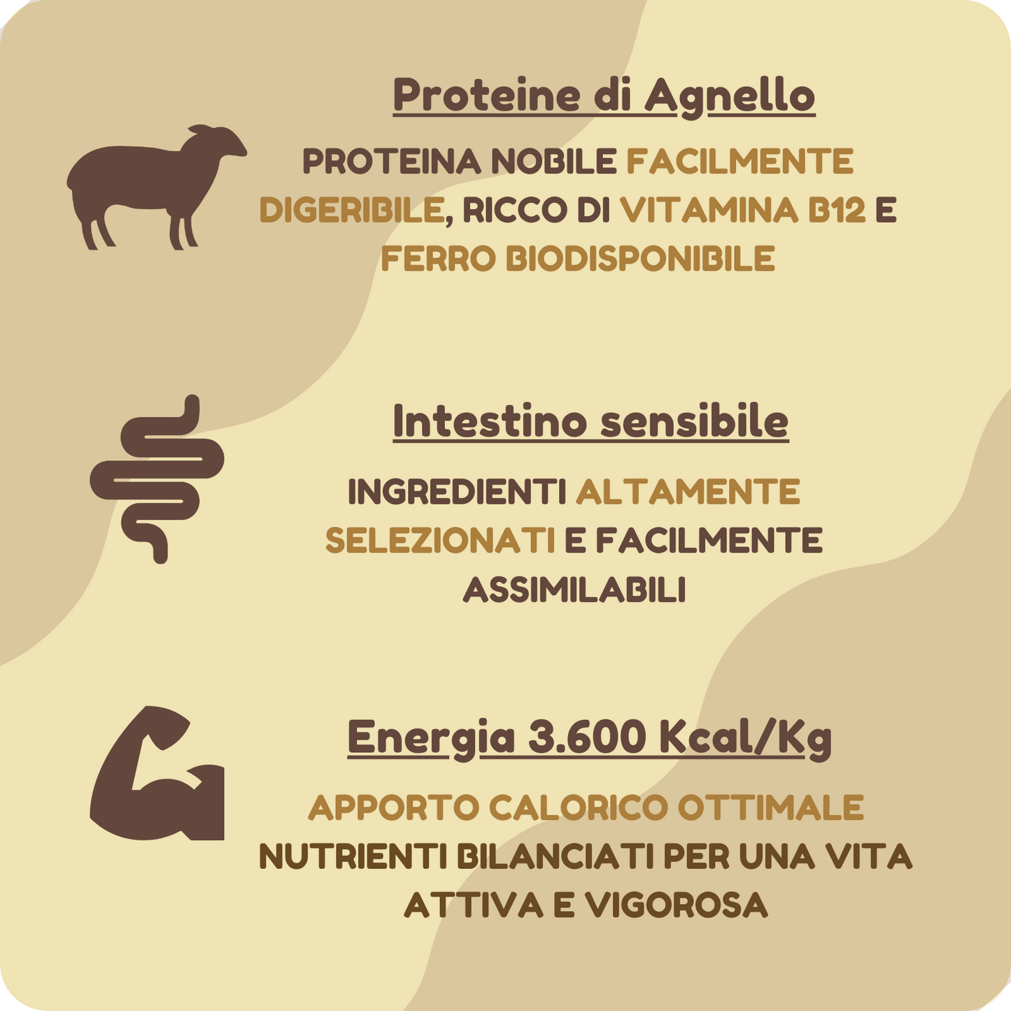 Crocchette SENSITIVE altamente digeribili con Agnello e Barbabietola