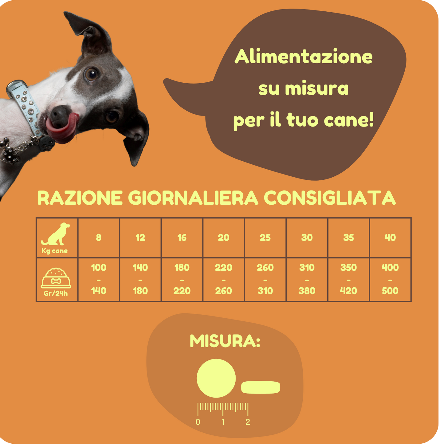 Crocchette GRAIN FREE con Salmone, Trota, Ananas e Melograno per cani di tutte le taglie