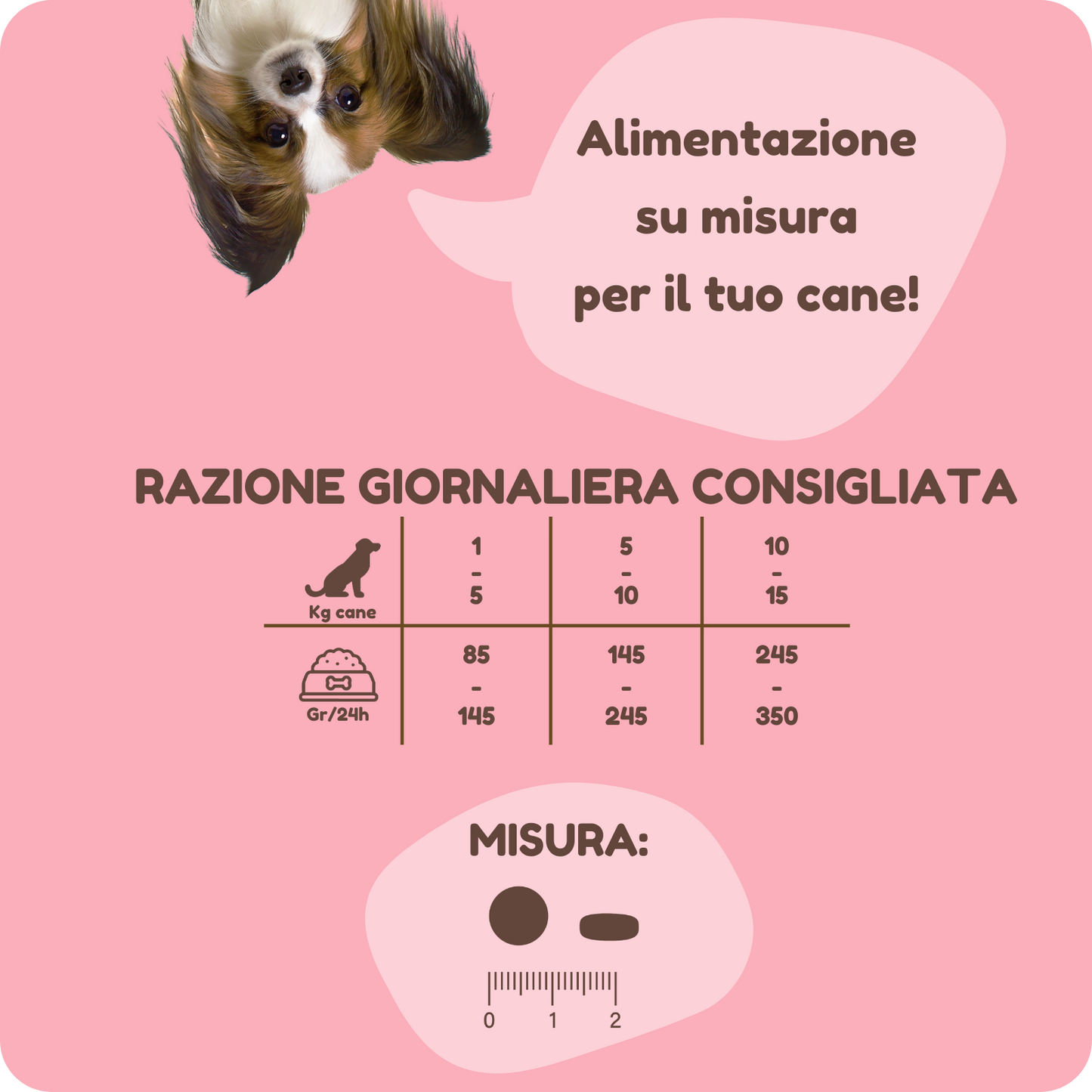 Crocchette ANCESTRAL IPOALLERGENICHE con Salmone, Aringa e Rosa canina per cani di piccola taglia