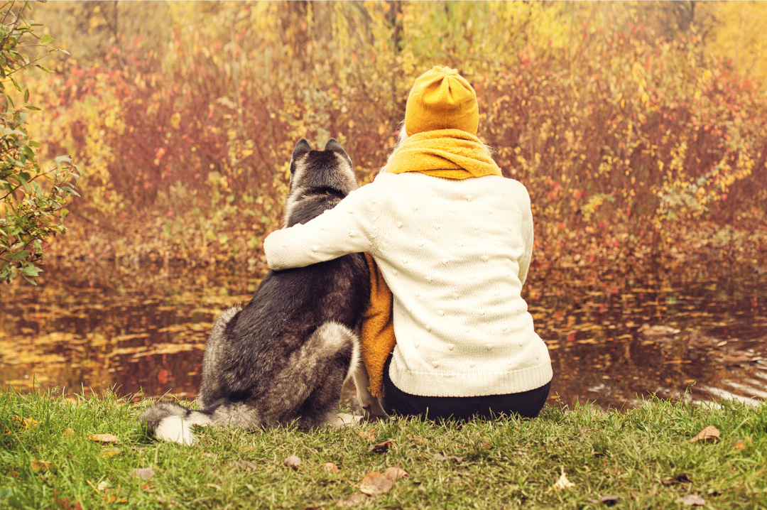 Il Legame Umano-Canino: Una Relazione Speciale nella Quotidianità
