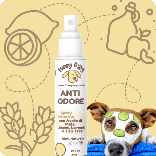Spray ANTI ODORE con Aceto di Mele, Limone, Lavanda e Tea Tree da 250 ml