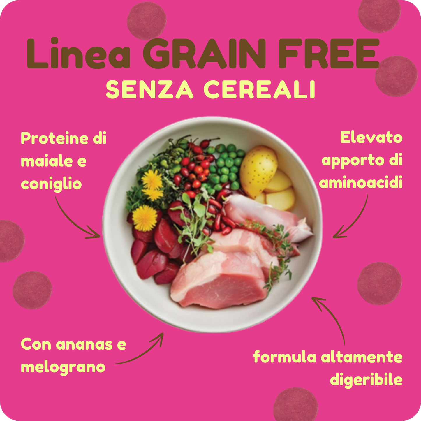 Crocchette GRAIN FREE con Maiale, Coniglio, Ananas e Melograno per cani di tutte le taglie