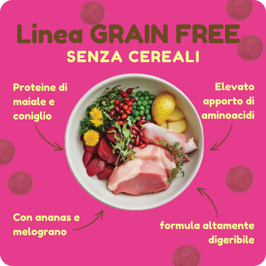 Crocchette GRAIN FREE con Maiale, Coniglio, Ananas e Melograno per cani di tutte le taglie