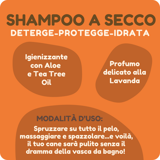 SHAMPOO A SECCO IGIENIZZANTE con Aloe e Tea Tree Oil da 250 ml