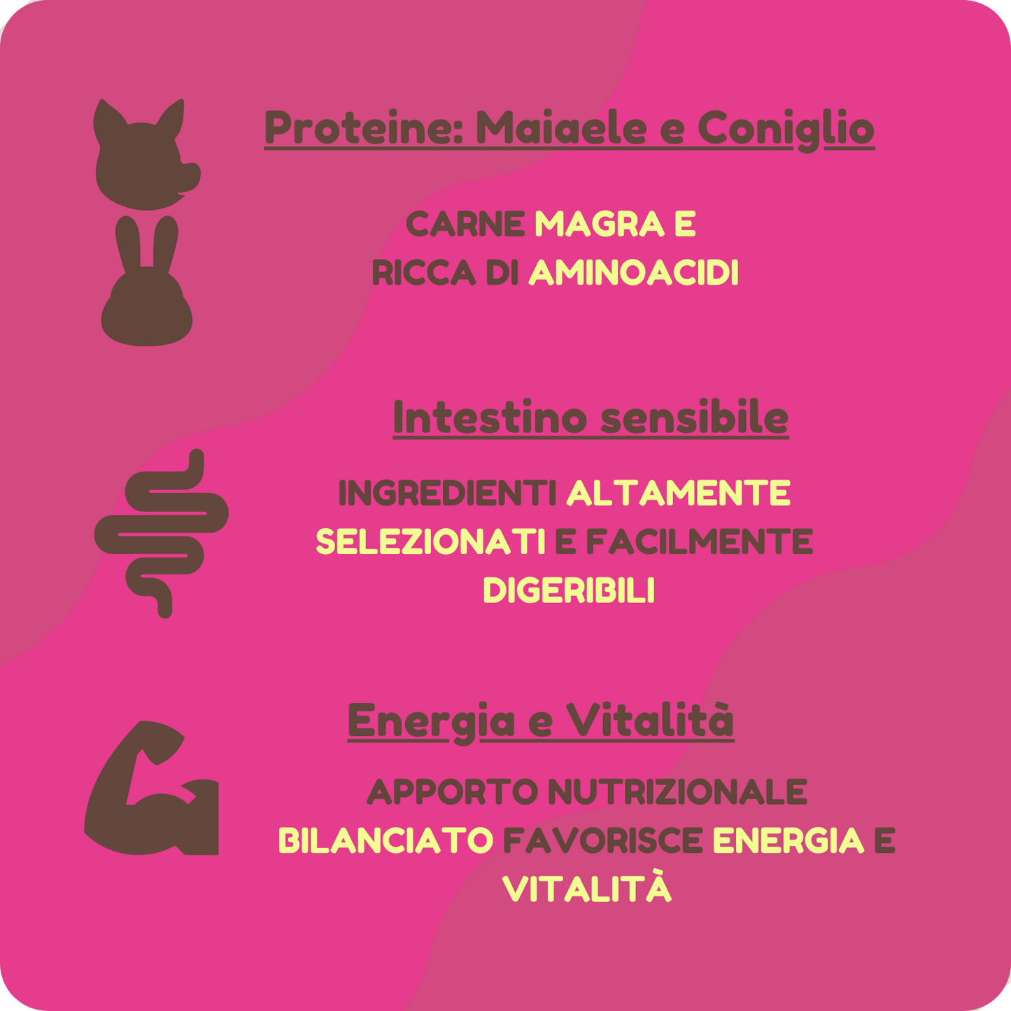 Crocchette GRAIN FREE con Maiale, Coniglio, Ananas e Melograno per cani di tutte le taglie