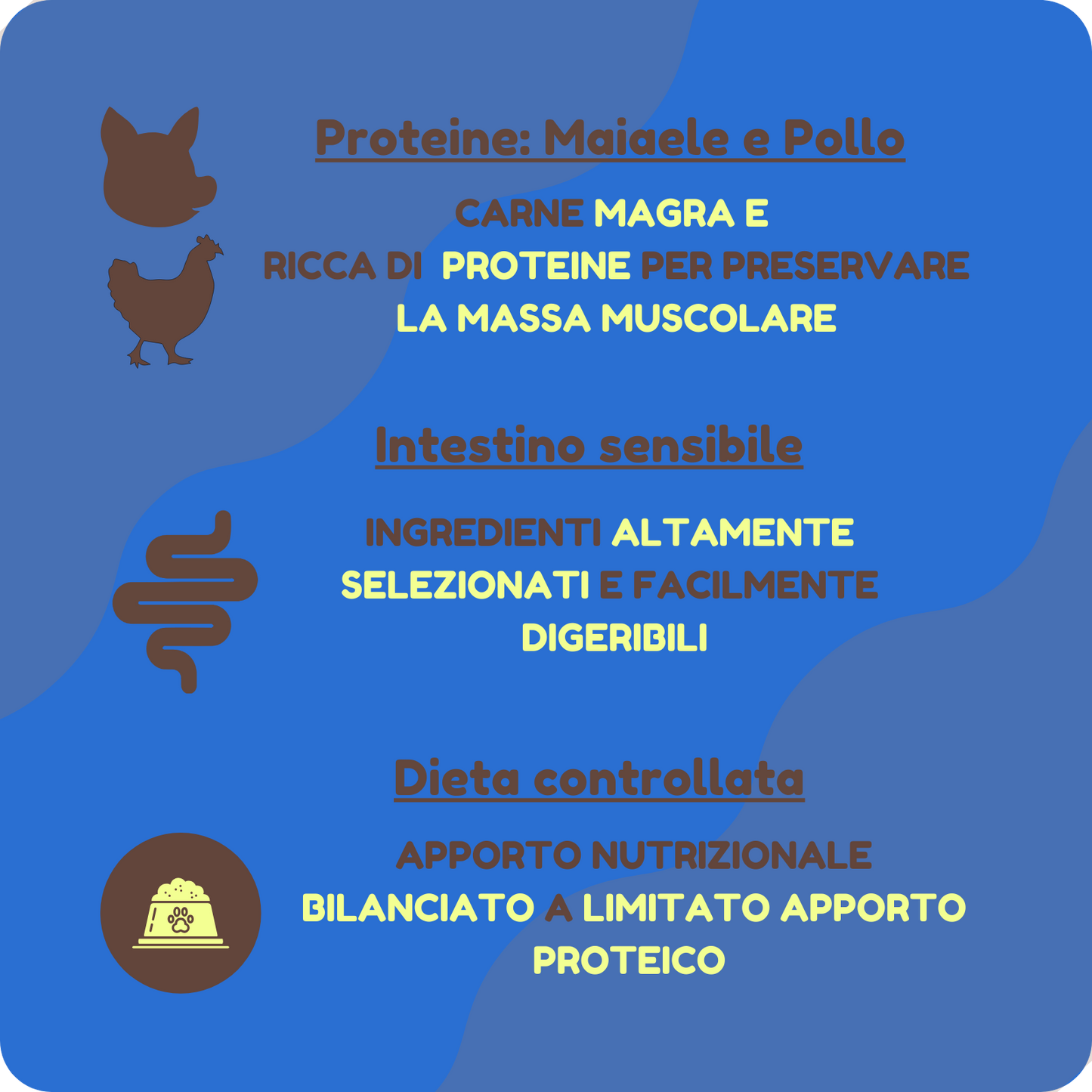 Crocchette LIGHT con Manzo e Pollo per cani adulti o in sovrappeso