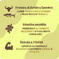 Crocchette GRAIN FREE con Bufalo, Sgombro, Ananas e Melograno per cani di tutte le taglie