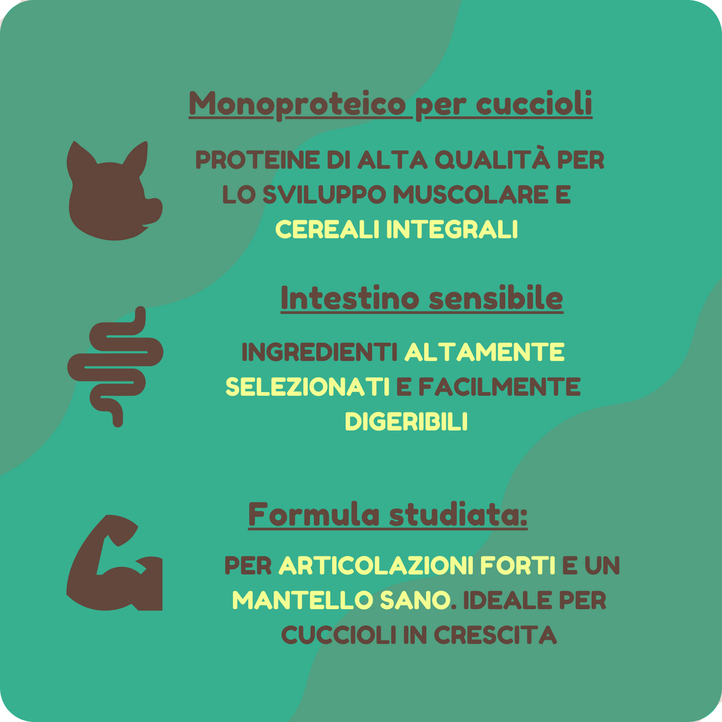 Crocchette MONOPROTEICHE con Maiale e Cereali Integrali per CUCCIOLI
