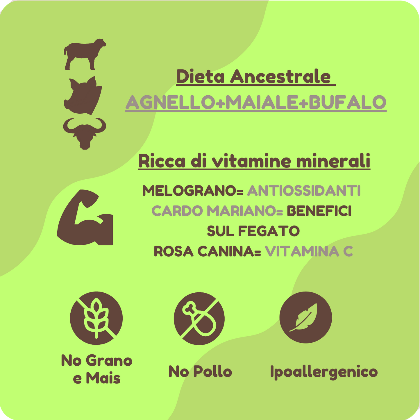 Crocchette ANCESTRAL IPOALLERGENICHE con Agnello, Maiale, Bufalo e Melograno per cani di tutte le taglie