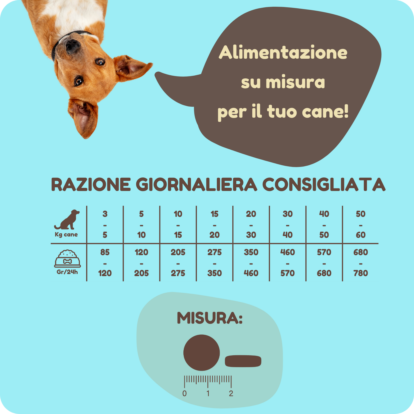 Crocchette PREMIUM con Manzo e Barbabietola per cani di tutte le taglie