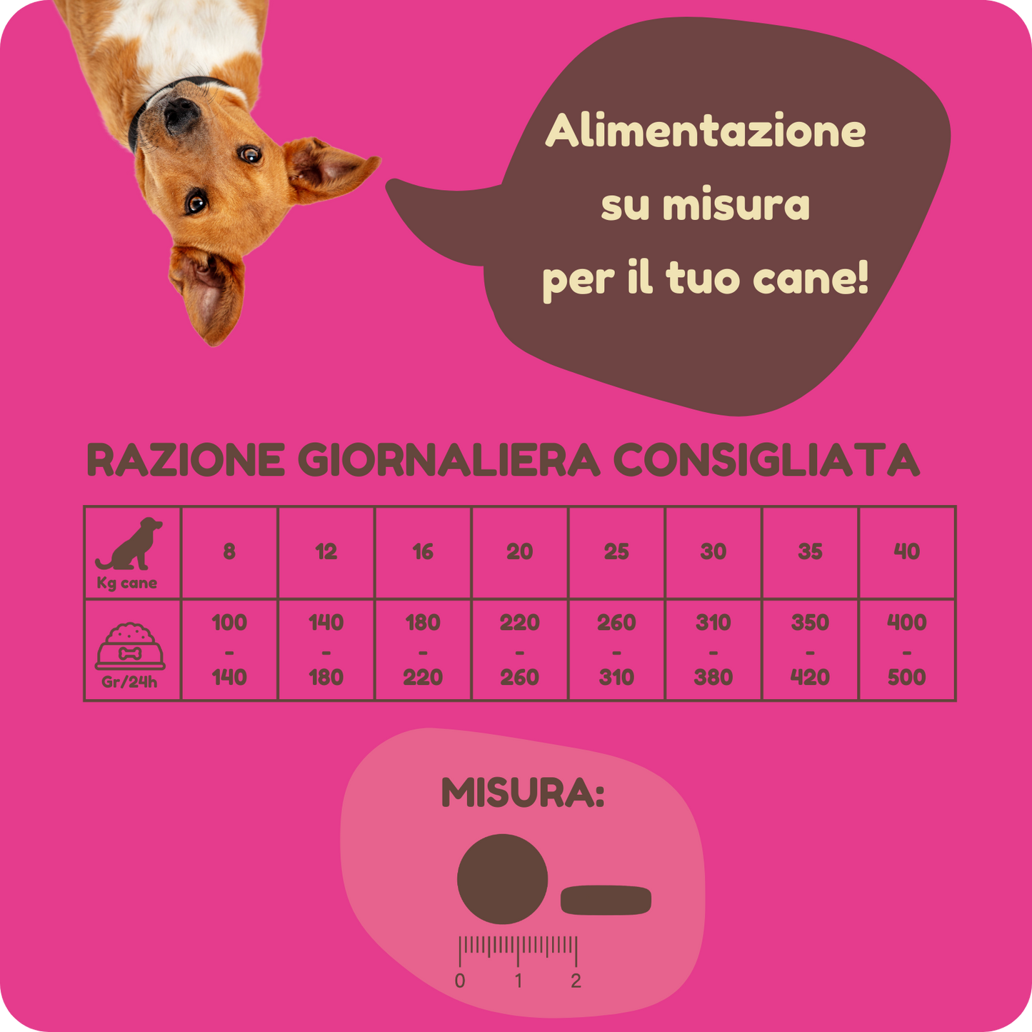 Crocchette GRAIN FREE con Maiale, Coniglio, Ananas e Melograno per cani di tutte le taglie